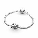 Charm Pandora Logo Star Wars 3D