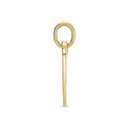 Colgante Pandora Shine Etiqueta Rectangular Grabable