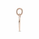 Colgante Pandora Rose Etiqueta Redonda grabable