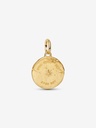 Charm Pandora Talismán Ave y Astro en Metal Dorado 764082C01