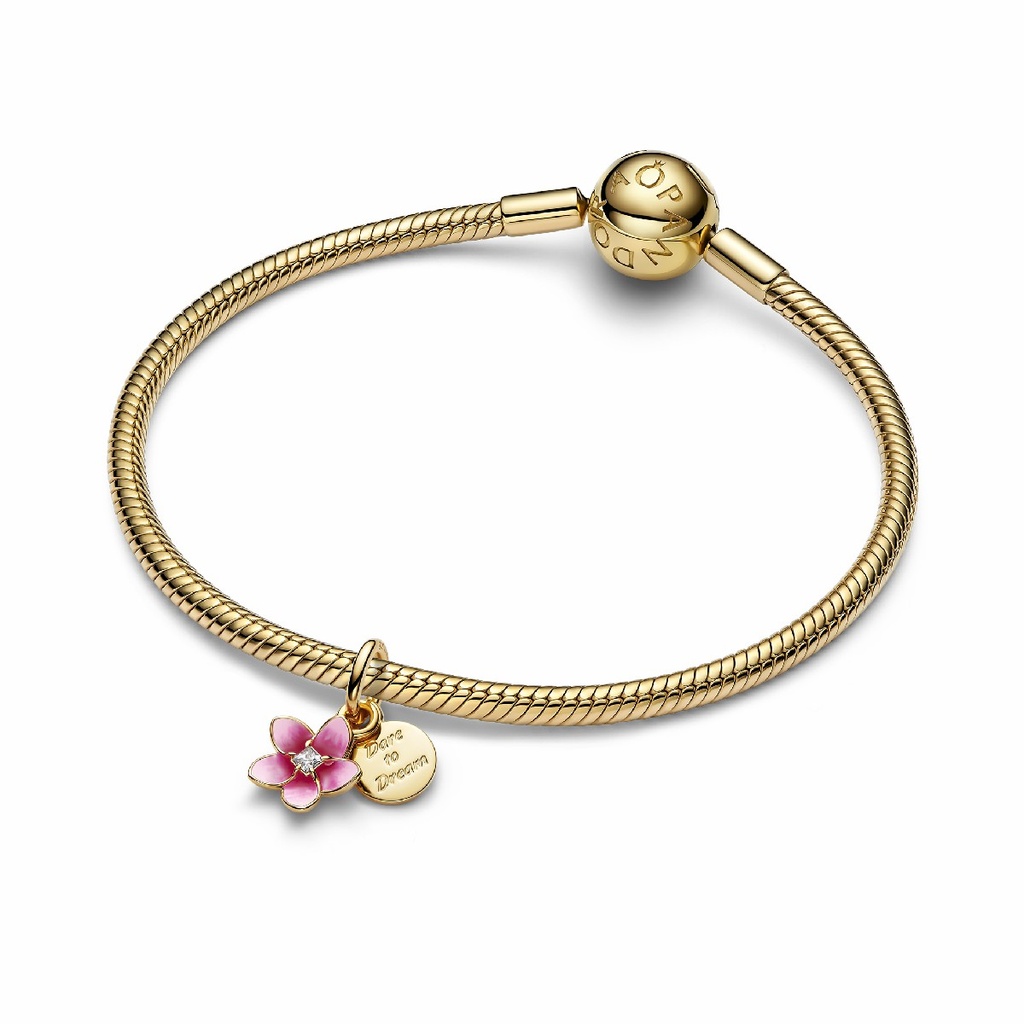 Charm Pandora 763845C01