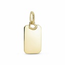 Colgante Pandora Shine Etiqueta Rectangular Grabable 368611C00