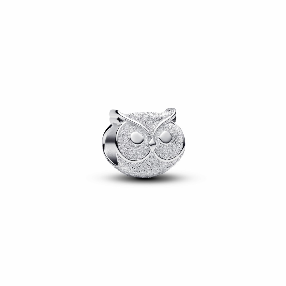 Charm Pandora Mini Búho Textura Plata 794525C00