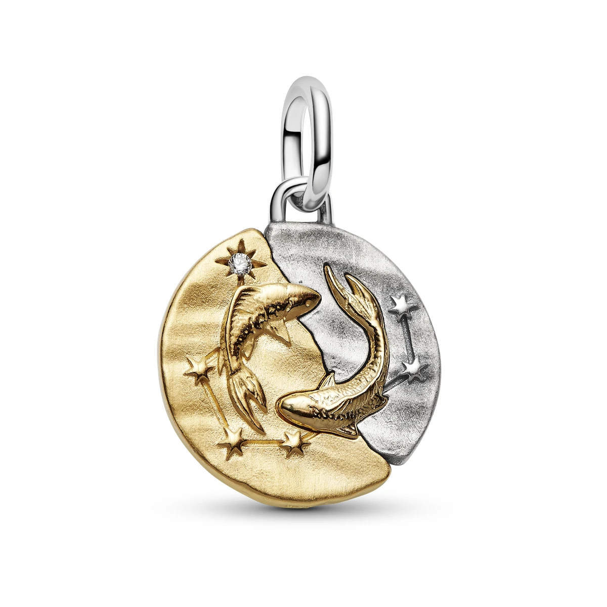 Charm Medallón en plata de ley y con un recubrimiento en oro de 14k Zodiaco Acuario