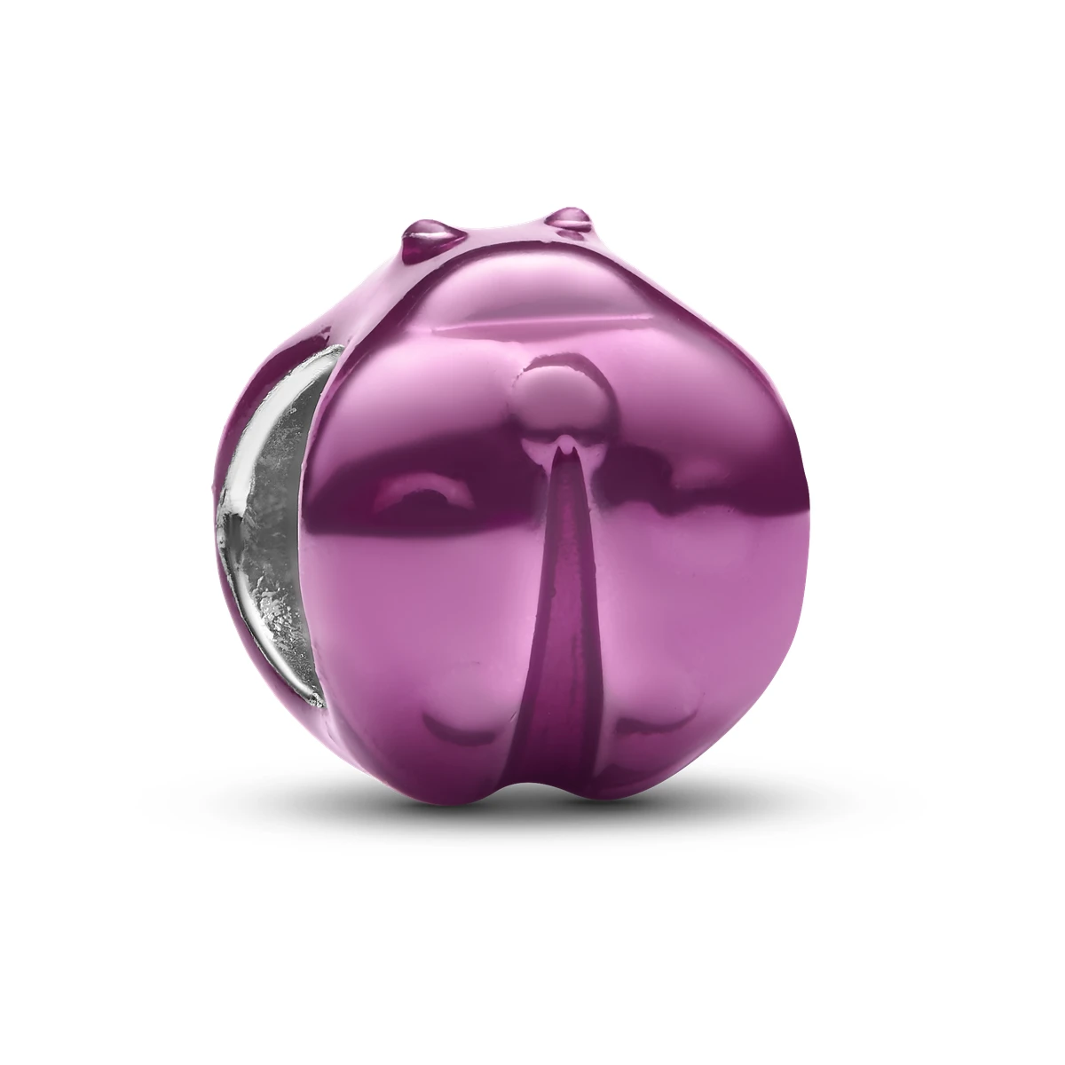 Charm Mini en plata de ley Mariquita Rosa
