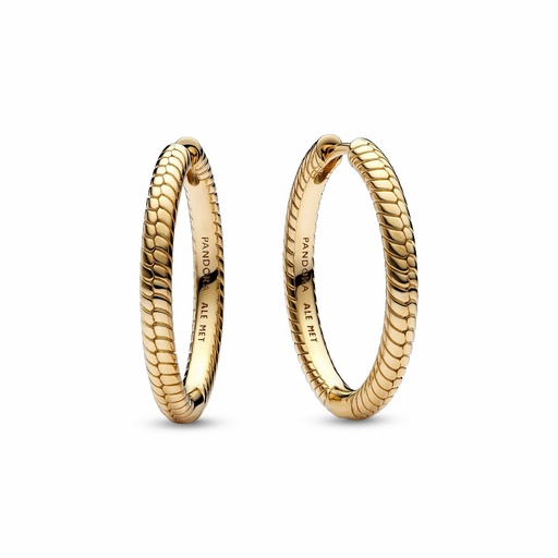 [269532C00] Pendientes de Aro Pandora Shine Moments 269532C00