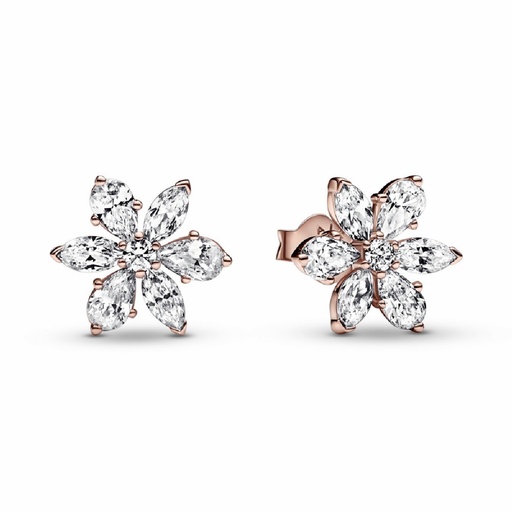 [282407C01] Pendientes Pandora Rose de Botón Herbario Brillante