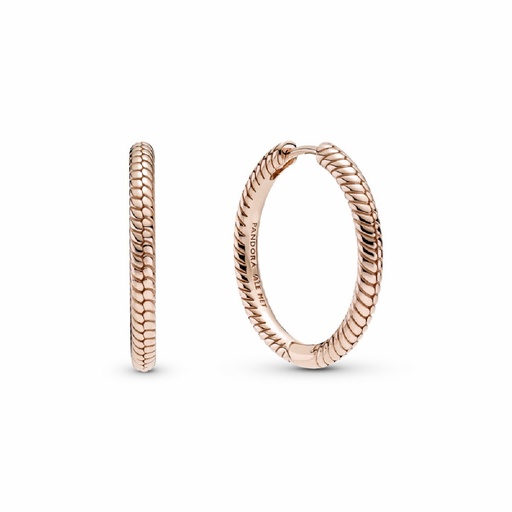 [289532C00] Pendientes Pandora Rose Aro para Charms