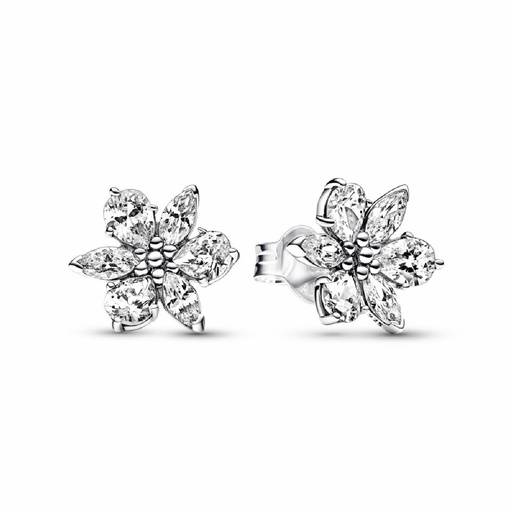 [292633C01] Pendientes Pandora Plata Herbolario Brillante