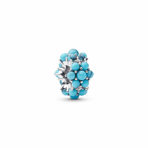 [793897C02] Charm Océano de Color Turquesa 793897C02