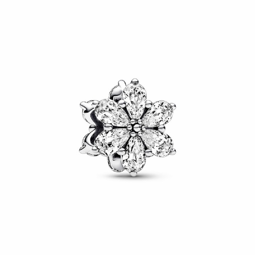 [792623C01] Charm Pandora Herbario Brillante